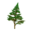 forestacion.gif (9565 bytes)