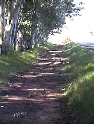 Caminito de Tierra Colorada